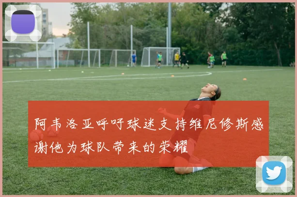 阿韦洛亚呼吁球迷支持维尼修斯感谢他为球队带来的荣耀